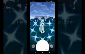 【ポケモンGO】ポニータコミュニティデイ！#ポケモンGO#ポニータ#ガラルポニータ#色違いポケモン