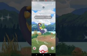 【ポケモンGO】色違いトルネロスGetチャレンジ。