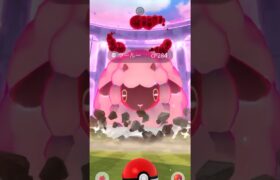 【ポケモンGO】No.831：ダイマックス・ウールー☆初ゲットタイム動画‼️@arata.channel .japan.Sep2024 #shorts