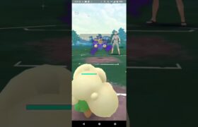 からてチョップを覚えたカイリキーを使いたい【ポケモンGO】Sカイリキー、エルフーン、マリルリ、スーパーリーグ