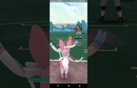 ハイパーリーグ【ポケモンGO】Sオーダイル、トゲキッス、ニンフィア