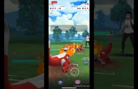 【ポケモンGO】ハイパー　ラウドボーンVSミラー