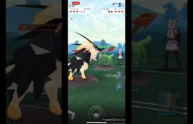 【ポケモンGO】ネクロズマ🦁VSボーマンダー🐲