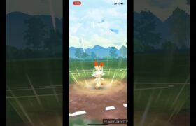 【ポケモンGO】ガラルカップ　ヒバニーVS