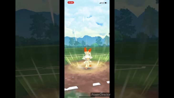 【ポケモンGO】ガラルカップ　ヒバニーVS