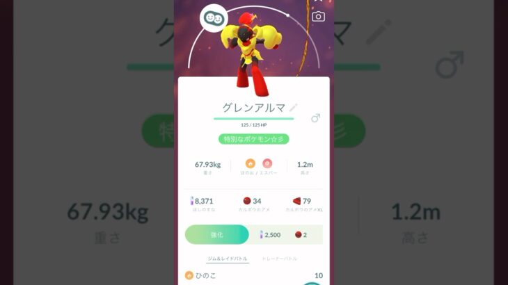 【ポケモンGO】カルボウからのグレンアルマ進化動画‼️（あーたんといっしょ）@arata.channel .japan.Sep2024 #shorts