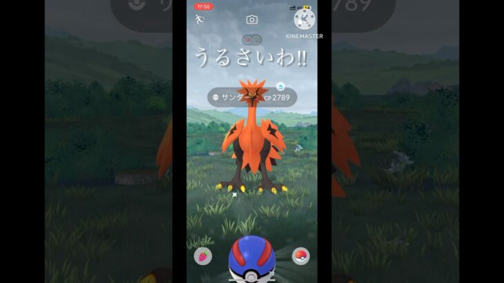 【ポケモンGO】ガラルサンダー初登場‼︎ちょっと優しいサンダーさんが来た！　#ポケモンgo#ガラル三鳥 #ガラルサンダー