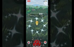 【ポケモンGO】キャタピーの話を聞かない投稿主　#ポケモンgo #色違い#shorts