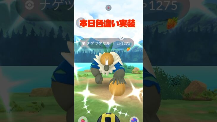 【ポケモンGO】リサーチデイで大勝利してきた🙈✨#ポケモンgo #shorts #リサーチデイ#pokemon #色違いポケモン