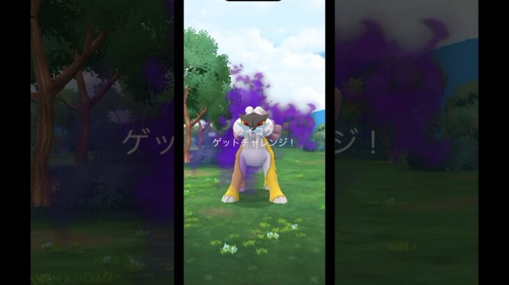 【ポケモンGO】シャドウライコウ・ゲット！！#short #ポケモンgo #Pokémon