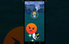 野生のユクシー見たことある？　#ポケモンGO　#ユクシー　#shorts