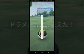 ガラルのレア枠ドラメシヤ！　#ポケモンGO　#ドラメシヤ　#shorts