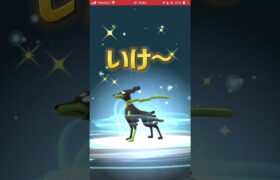 ジガルデ進化！＃ポケモンGO＃ポケモン#shorts