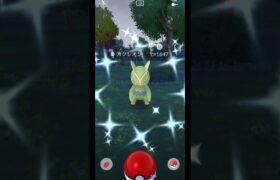 【ポケモンGO】まさかの〇〇でカクレオンの色違い降臨！！！！！！！！！！！#shorts #pokemongo #ポケモンgo色違い #ポケモンgo