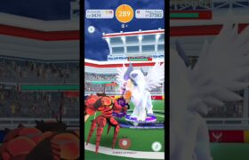 Mega Absol raid battle Pokemongo #ポケモンgo #pokemongo #pokemon #pogoraids #megaabsol #raidpokemongo