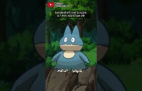 Munchlax is several flavors of Ghibli adorable | #pokemon