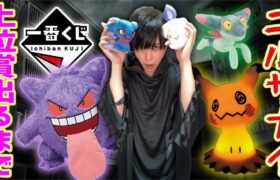 【超人気】ゴーストタイプだけのポケモンくじが強すぎる【一番くじ】一番賞、POKEMON Type Ghost