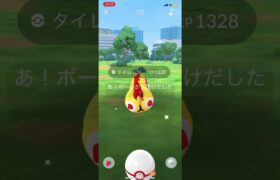 Pokémon GO Falinks #式浪をふ #pokemongo #ポケモンgo #falinks #タイレーツ #shorts #shiny #色違い