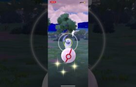 Pokémon GO Mega Absol #式浪をふ #ポケモンgo #pokemongo #ポケモン #absol #mega #メガアブソル　#pokemon #shorts