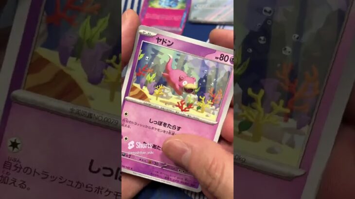 【ポケカ】ステラミラクルのSARを当てたいんじゃ！【ポケモンカードゲーム】 #pokemontcg #ポケモン #ポケカ