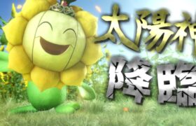 太陽神キマキィ降臨【ポケモンSV】