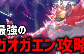 【攻略】最強のガオガエン攻略するぞ！！【ポケモンSV】