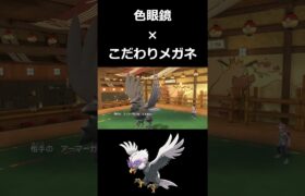 『色眼鏡 × こだわりメガネ』のヒスイウォーグルが最強【ポケモンSV】