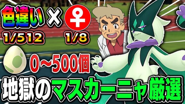 【ポケモンSV】激レアの色違い『マスカーニャ♀』をゲットしたいｗｗ国際孵化しまくるぞｗｗ0~500匹目まで【口の悪いオーキド博士】【柊みゅう】#ポケモン #ポケットモンスター