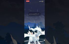 エース行ってから最近勝てない、、ネクロVSカイオーガ #ポケモンgo #ポケモンgoバトルリーグ