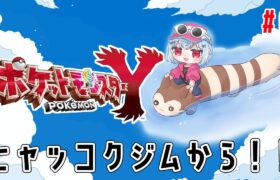 【 ポケモンY 】ヒャッコクジムって・・・・・なにジム・・？【にじさんじ/葉加瀬冬雪】