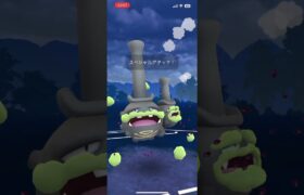 カッチカチでやってたらタイムアップ勝利！ #gbl #ポケモン #ポケモンgo #shorts