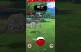 #ポケモンgo #ポケゴー #ポケットモンスター #ポケモン #神技