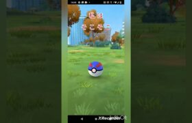 #ポケモン #ポケモンgo