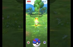 ポケモンgo ヒバニー　サルノリ　メッソン　3匹3連ゲットチャレンジ　#pokemongo