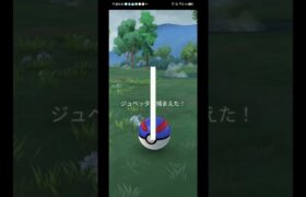 ジュペッタ#ポケモンgo #ポケモン #pokémon #pokemon #pokemongo #shorts #short