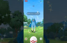 #ポケモンgo #pokemongo   ザシアン色違い