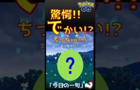 【驚愕ポケモン出現！謎かけ俳句】 #ポケモンgo #pokemongo #驚愕 #びっくり #ポケモン