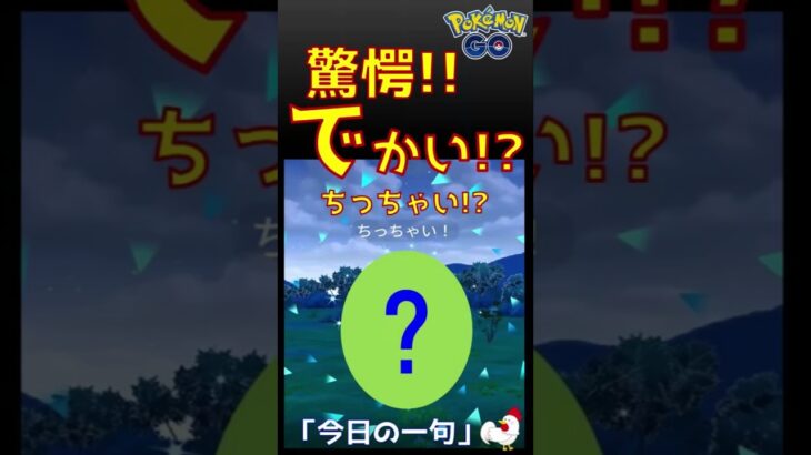 【驚愕ポケモン出現！謎かけ俳句】 #ポケモンgo #pokemongo #驚愕 #びっくり #ポケモン