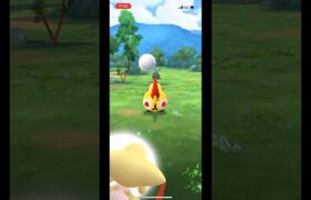 ポケモンgo タイレーツゲットチャレンジ　#pokemongo