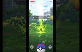 ポケモンgo 野生のハハコモリゲットチャレンジ　#pokemongo