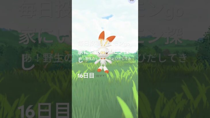 毎日投稿ポケモンgo家にいるポケモン探し#16日目#バスれ #伸びろ#shorts #ポケモン go