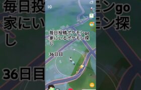 毎日投稿ポケモンgo家にいるポケモン探し#36日目#shorts