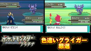 ポケモンプラチナ色違い旅　グライガー編