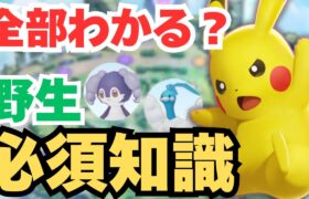 【🔰初心者おすすめ】野生ポケモンのこと、本当に理解できてますか？知らないとヤバい重要なポイントをプロがわかりやすく解説します！【ポケモンユナイト】