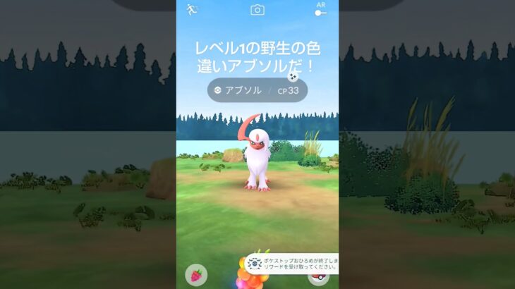 【レベル1の野生の色違いアブソルだ！】 #ポケモンgo #アブソル #色違いポケモン #shinypokemon #pokémongo #Pokémon