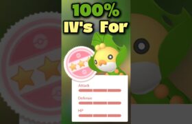 100% IVs for Sewaddle in Pokémon Go!!