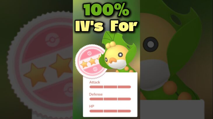 100% IVs for Sewaddle in Pokémon Go!!