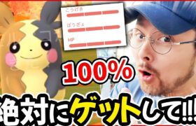 緊急！今すぐゲットして！モルペコ100％！！！最強ポケモンです！必須です！！！【ポケモンGO】