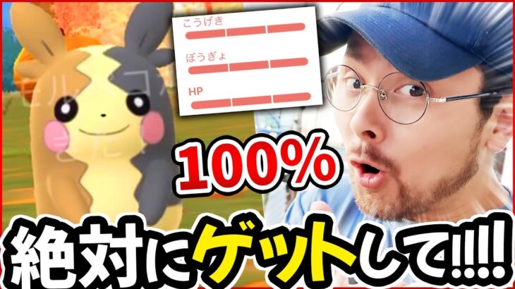 緊急！今すぐゲットして！モルペコ100％！！！最強ポケモンです！必須です！！！【ポケモンGO】