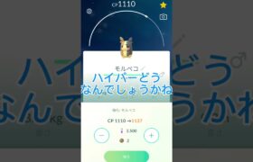 モルペコ100%！！！！！#ポケモンgo #ポケモン